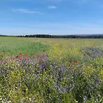 Pet Friendly La Golondrina Del Duraton Holiday home Sebulcor
