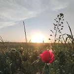 Holiday home Pet Friendly La Golondrina Del Duraton Sebulcor