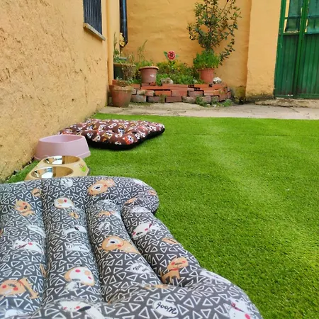 Pet Friendly La Golondrina Del Duraton Ferienhaus Sebúlcor