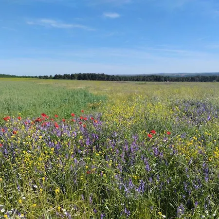 Pet Friendly La Golondrina Del Duratón Сasa de vacaciones Sebúlcor