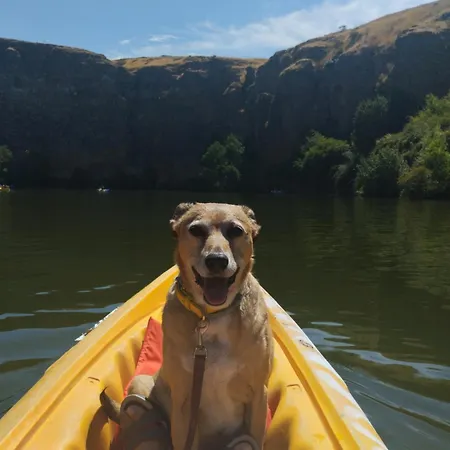 Pet Friendly La Golondrina Del Duraton Sebúlcor