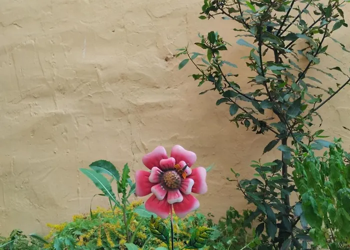 Pet Friendly La Golondrina Del Duratón Сasa de vacaciones