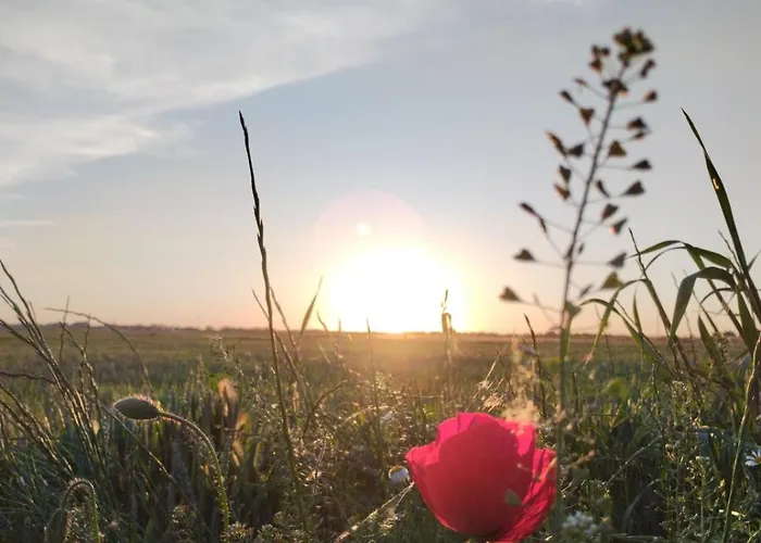 Сasa de vacaciones Pet Friendly La Golondrina Del Duratón Sebúlcor